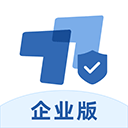 Todesk专业下载 Todesk专业（v2.82.5）加强版