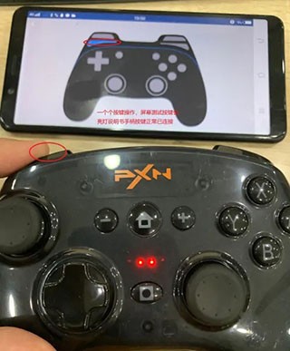 小鸡模拟器TV版