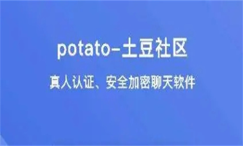 土豆聊天app